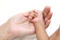 Infant hand in parents hand Royalty Free Stock Photo