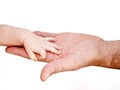 Infant hand resting in adult male hand Royalty Free Stock Photo