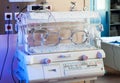 Infant incubator closeup. medical technology background. Royalty Free Stock Photo