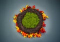 Infant Nest Fantasy Background Photo Prop with colorful fall lea