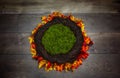 Infant Nest Fantasy Background Photo Prop with colorful fall lea