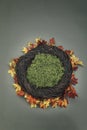 Infant Nest Fantasy Background Photo Prop with fall leaves and m