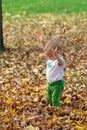 Infant Playing In Fall Leaves