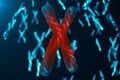 Infection of X-Chromosomes dna, virus or infection penetrates the body. Chromosomes with DNA carrying the genetic code