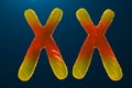 Infection of XX-Chromosomes DNA, virus or infection penetrates the body. Female chromosomes. Chromosomes with DNA