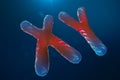 Infection of XY-Chromosomes DNA, virus or infection penetrates the body. Male chromosomes. Chromosomes with DNA carrying