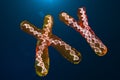 Infection of XY-Chromosomes DNA, virus or infection penetrates the body. Male chromosomes. Chromosomes with DNA carrying