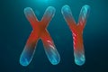 Infection of XY-Chromosomes DNA, virus or infection penetrates the body. Male chromosomes. Chromosomes with DNA carrying