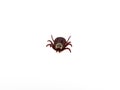 Infectious Dermacentor Dog Tick Arachnoid Parasite Insect Macro isolated on white background.