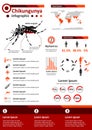 Infectious Disease Infographics - Chikungunya
