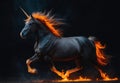 Infernal Trot: Black Unicorn of Flame