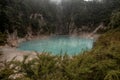 Inferno Crater Lake in Waimangu Volcanic Valley near Rotorua, Ne Royalty Free Stock Photo