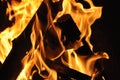 Inferno flame fire on black background close up Royalty Free Stock Photo