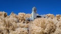 Inferred image of train depot in Boise Idaho Royalty Free Stock Photo