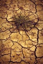 Infertile land burned by the sun: famine and poverty concept Royalty Free Stock Photo