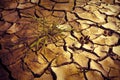 Infertile land burned by the sun: famine and poverty concept image