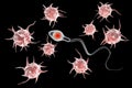 Infertility concept, microbes attacking spermatozoon and preventing it from fertilization