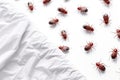 Infestation Of Bloodsucking Bed Bugs Unveiled On White Sheet