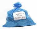 Infested with bedbugs Royalty Free Stock Photo