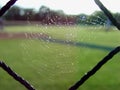 Infield Web