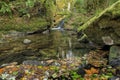 The Infierno River as it passes through the La Pesanca Recreational Area in Spain