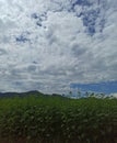 An infine coltivated field with white clouds and far mountains Royalty Free Stock Photo