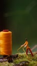 infinitely creative, lighter man made of wooden matches