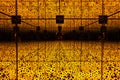 An infinity mirroor room full with yellow and black polka dots pumpkins installation art by Japanese artist,Kusama Yayoi. Royalty Free Stock Photo