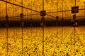 An infinity mirror room full with yellow and black polka dots pumpkins installation art by Japanese artist, Kusama Yayoi.