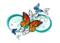 Infinity with orange butterfly Monarch and Morpho butterflies Royalty Free Stock Photo