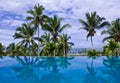 Infinity Pool with Coconut Trees Royalty Free Stock Photo