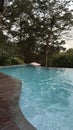 Infinity pool at forest resort surrounded by so many trees Royalty Free Stock Photo