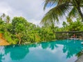 Infinity pool at tropical resort in Asia with view to the jungle in holidays travel and tourism concept Royalty Free Stock Photo