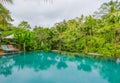 Infinity pool at tropical resort in Asia with view to the jungle in holidays travel and tourism concept Royalty Free Stock Photo