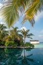 Infinity pool vertical landscape with ocean and tropical beach view Royalty Free Stock Photo