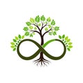 Infinity Tree: Symbol of Growth, Connection, and Limitless Possibilities in Nature Royalty Free Stock Photo