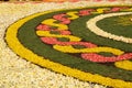 Infiorata the day of Corpus Christi