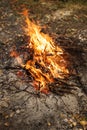 Inflaming the fire. Fire. The fire in the forest. Burning branches Royalty Free Stock Photo