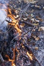 Inflaming the fire. Fire. The fire in the forest. Burning branches Royalty Free Stock Photo