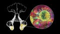 Inflammation of maxillary sinuses and close-up view of viruses that cause sinusitis