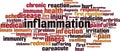Inflammation word cloud Royalty Free Stock Photo
