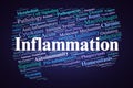 Inflammation Word Cloud. Core Concepts of Immune Response and Disease Pathology Royalty Free Stock Photo