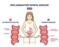 Inflammatory bowel disease or IBD with Crohns and colitis outline diagram