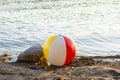 Inflatable beach ball on the shore of The Lake Saimaa, Ukonlinna beach, Imatra, Finland