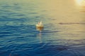 Inflatable circle a small rainbow unicorn floats on the water tied to a string, summer vacation at the sea, lake, river