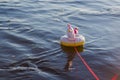 Inflatable circle a small rainbow unicorn floats on the water tied to a string, summer vacation at the sea, lake, river