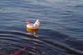 Inflatable circle a small rainbow unicorn floats on the water tied to a string, summer vacation at the sea, lake, river