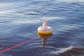 Inflatable circle a small rainbow unicorn floats on the water tied to a string, summer vacation at the sea, lake, river