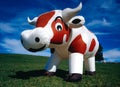 Inflatable cow Royalty Free Stock Photo