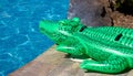 Inflatable crocodile Royalty Free Stock Photo
